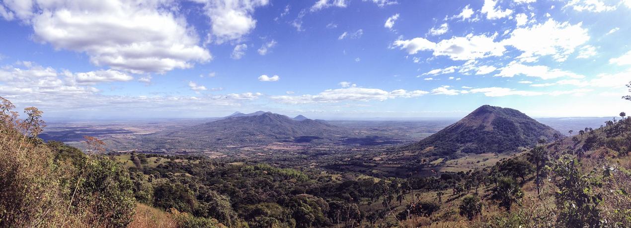 ¿Te dio miedo la sangre?