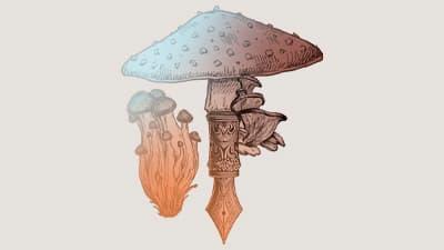 II Jornadas poéticas de otoño Oxeda 2024